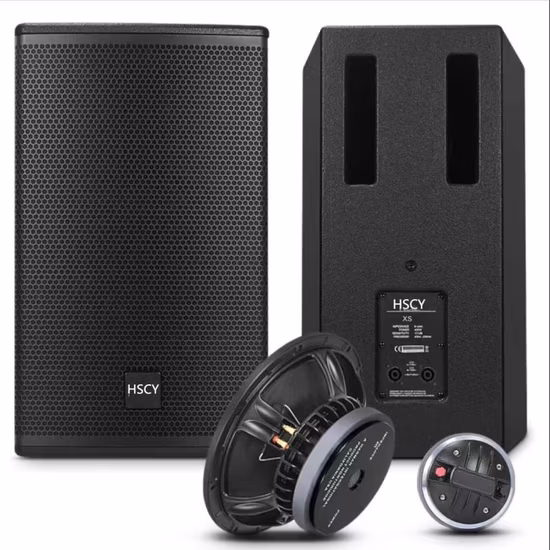 250ワット 10インチ 公共壁掛けステレオフルレンジスピーカー 空港、部門、教会向け屋内スピーカー