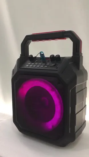 PA ポータブル Bluetooth 充電式 屋内ワイヤレス FMラジオ付き フルレンジ ポータブル 10W Bluetooth スピーカーボックス ED