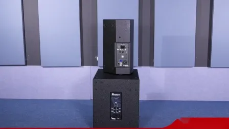 プロフェッショナル ラウドスピーカー アクティブ ラインアレイ スピーカー システム セルフパワード サブウーファー Vs15s 搭載